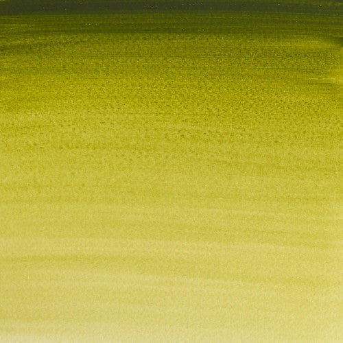 Winsor & Newton Professional Water Colour 5ml - Olive Green (447)