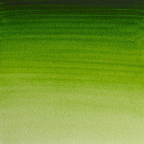 Winsor & Newton Professional Water Colour 14ml - Permanent Sap Green (503)