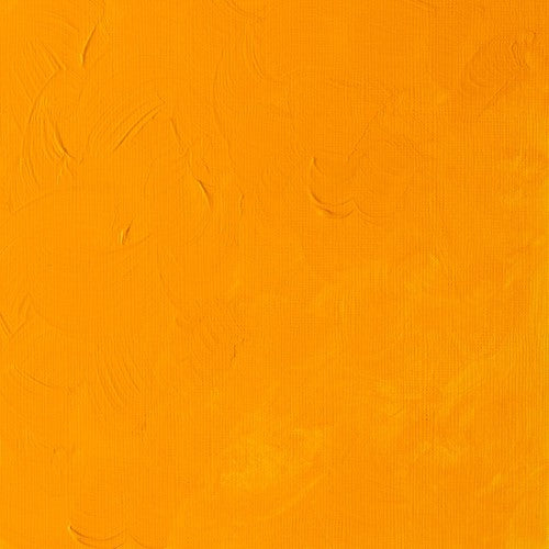 Winsor & Newton Griffin Alkyd Oil Colour 37ml - Cadmium Yellow Deep Hue (115)