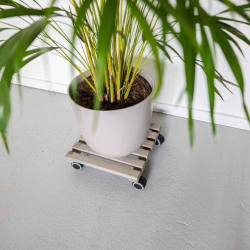 Indoor Plant Trolley - Square Grey 29cm (Set of 2)