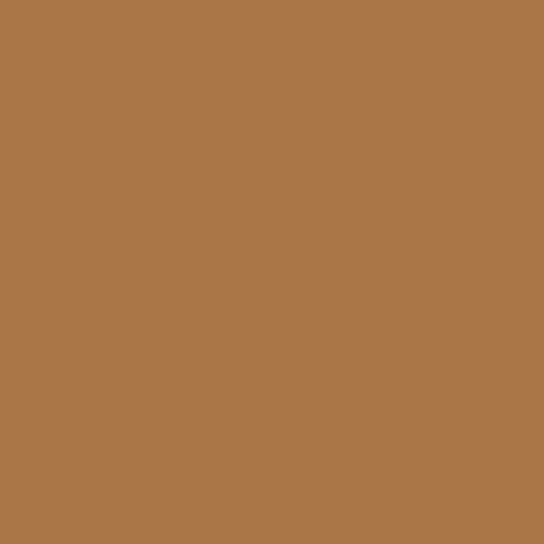 Winsor & Newton BrushMarkers - Cocoa (O535)