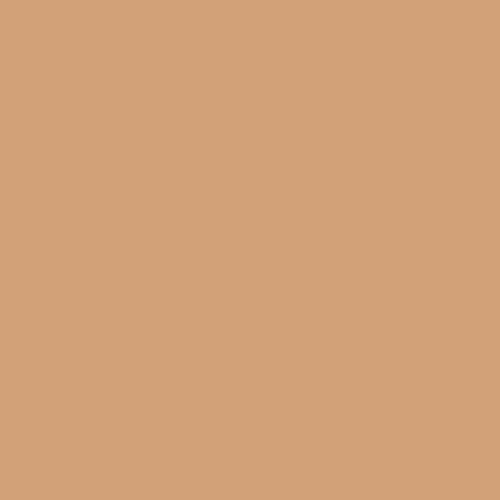 Winsor & Newton BrushMarkers - Cinnamon (O427)