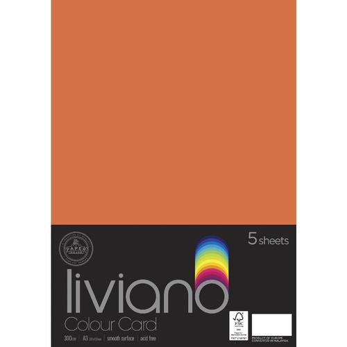 Liviano Heavy Colour Card 300gsm - A3 (Orange) - Pack of 5