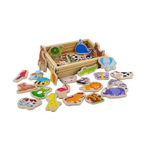 Wooden Animal Magnets in Box