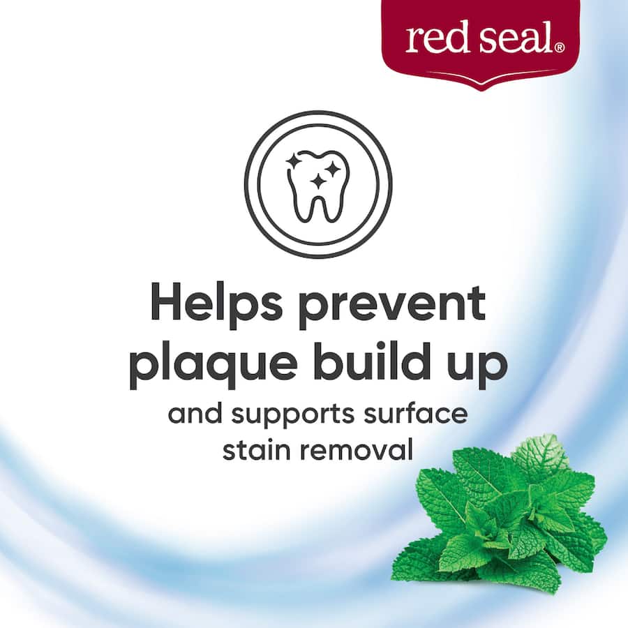 Red Seal Toothpaste Strong Mint 100g