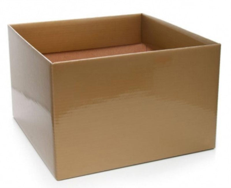 Elegant gold posy boxes, pack of 10, measuring 22x14cmH, perfect for showcasing floral arrangements.