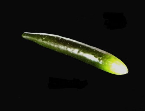 Artificial Vegies - Cucumber