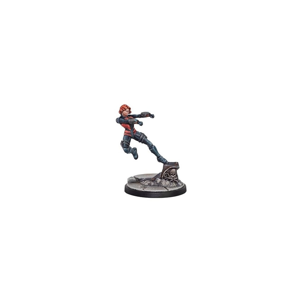 Marvel: Crisis Protocol - Magneto & Toad