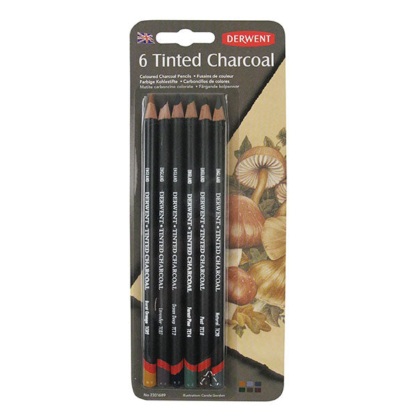 Derwent Tint Charcoal set featuring water-soluble sticks for versatile drawing, shading, and blending with color hints.