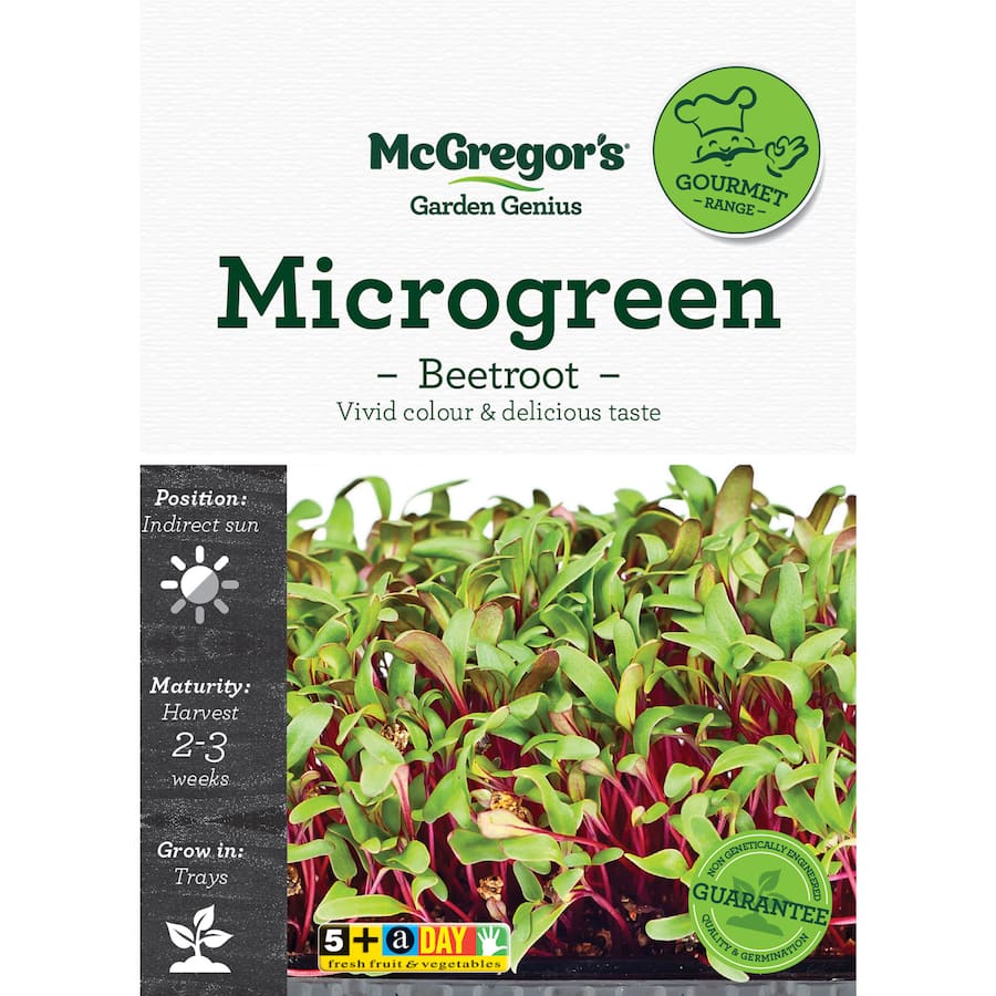 Mcgregors Microgreen Vegetable Seeds Beetroot - 1ea