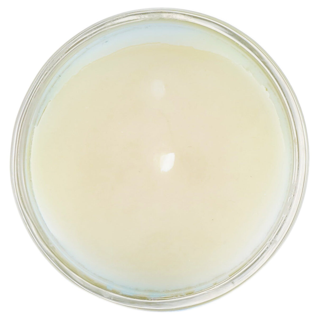 Carroll & Chan - 100% Beeswax Votive Candle - Green Seas - 65g/2.3oz
