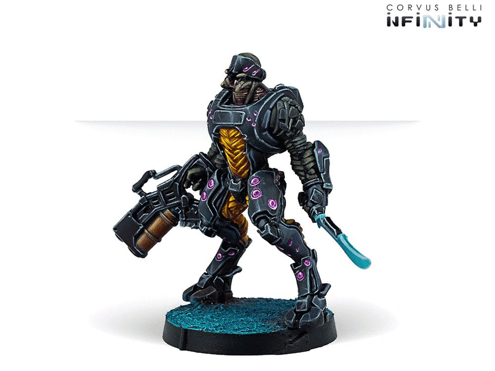 Infinity: Combined Army - Shasvastii Expansion Pack Gamma
