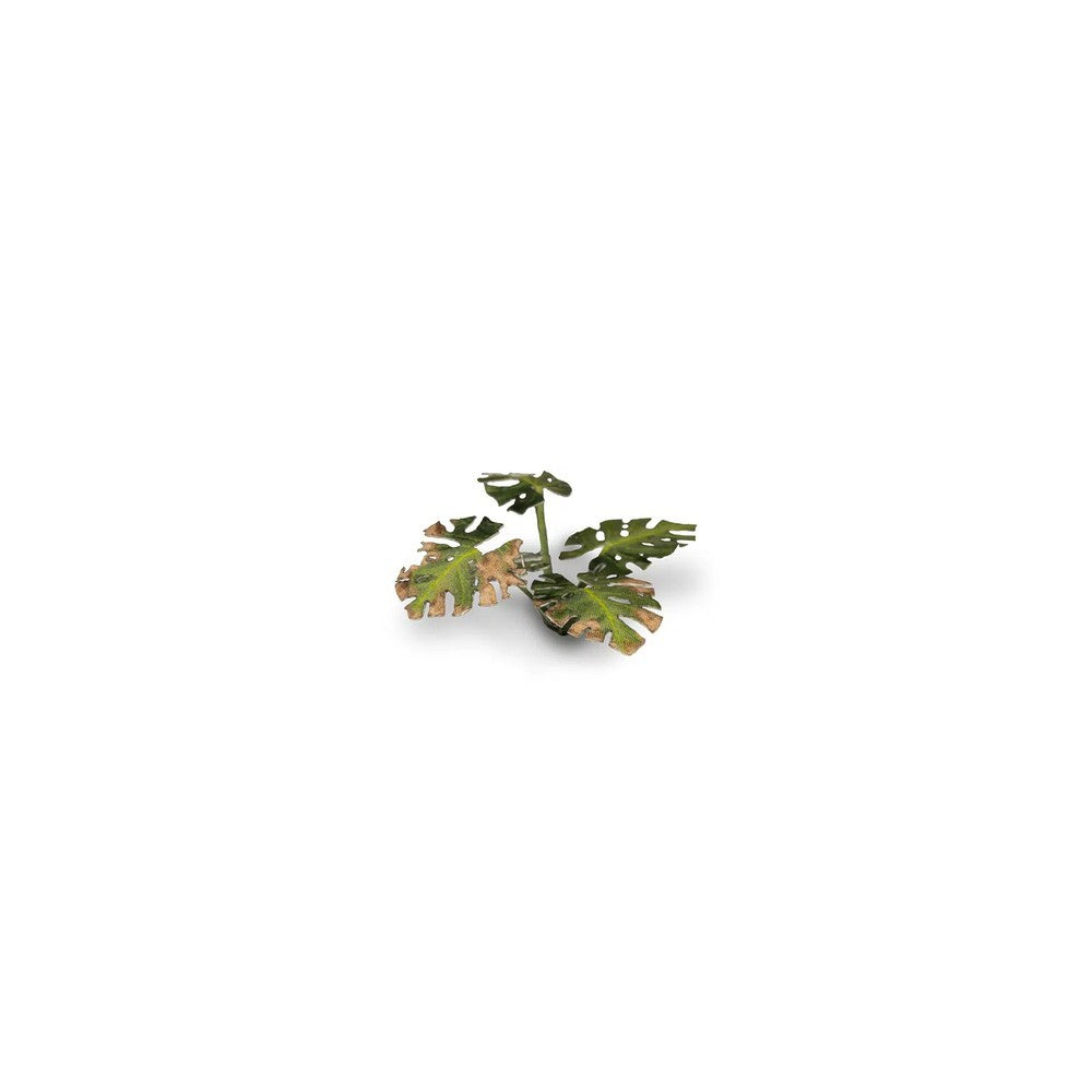 Gamers Grass - Laser Plants - Monstera