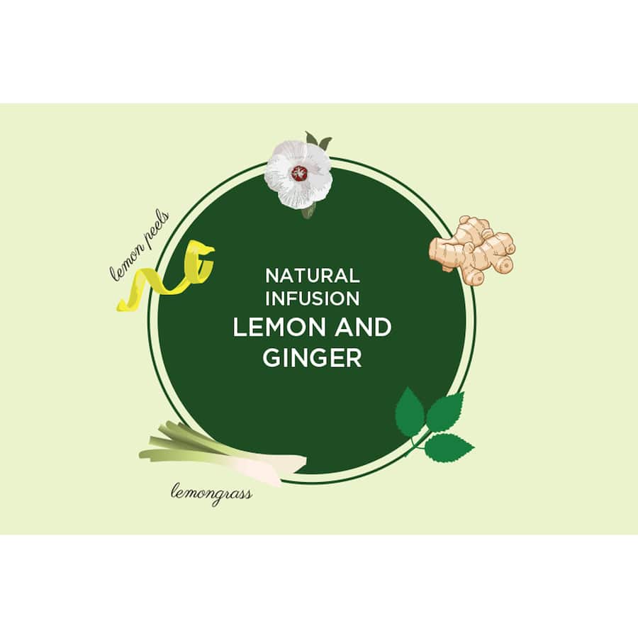 Dilmah Fruit Tea Bags Lemon And Ginger 20 pack