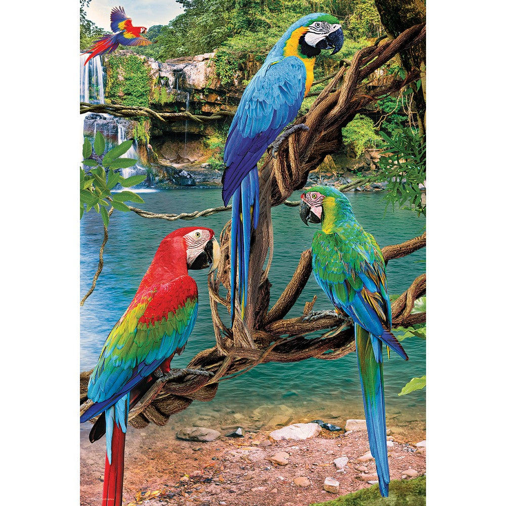 Puzzle - Eurographics - Macaws 250pc