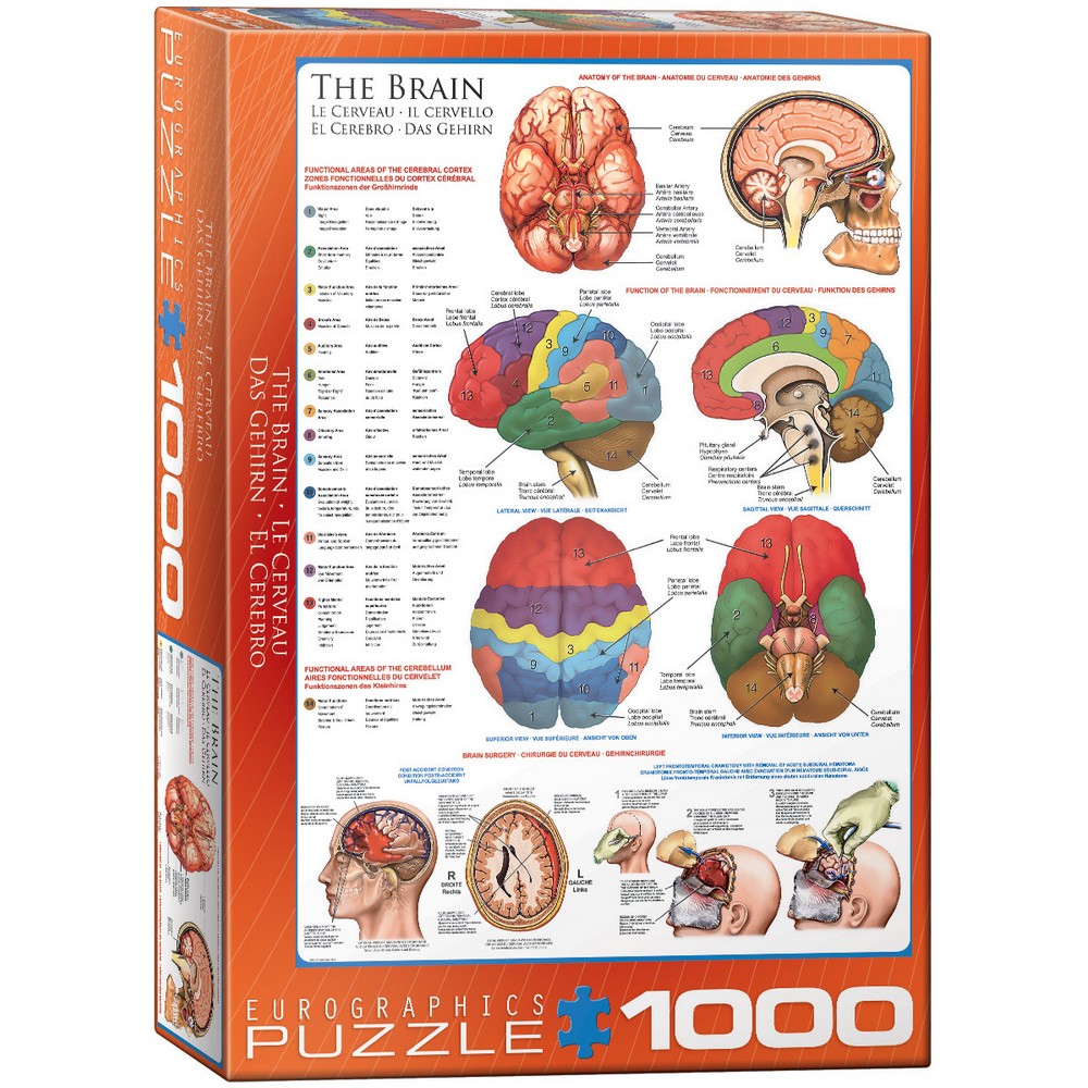 Eurographics - The Brain 1000 Piece - Jigsaw Puzzle