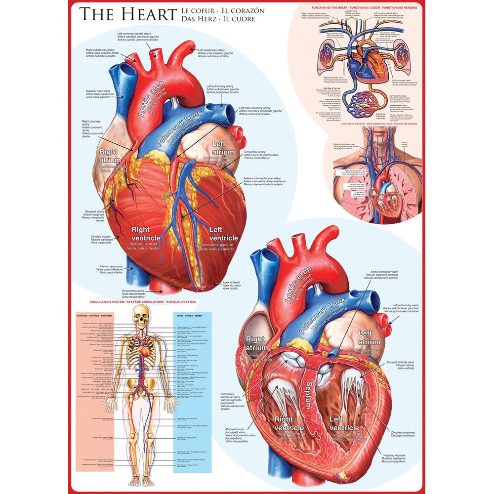 Eurographics - The Heart 1000 Piece - Jigsaw Puzzle
