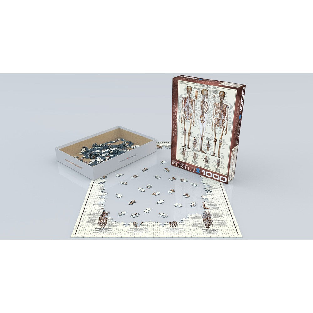 Eurographics - The Skeletal System 1000 Piece - Jigsaw Puzzle