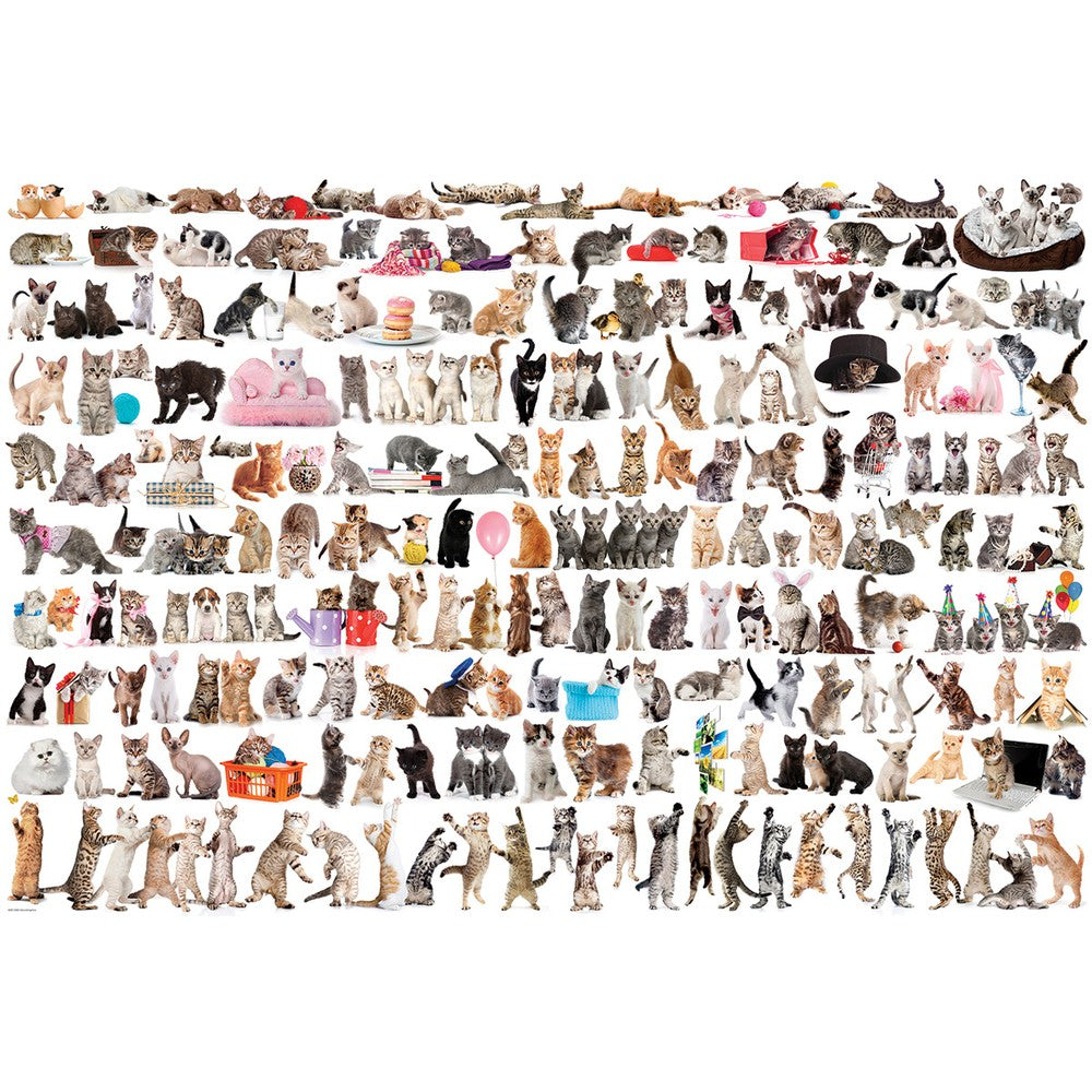 Puzzle - Eurographics - The World Of Cats 2000pc