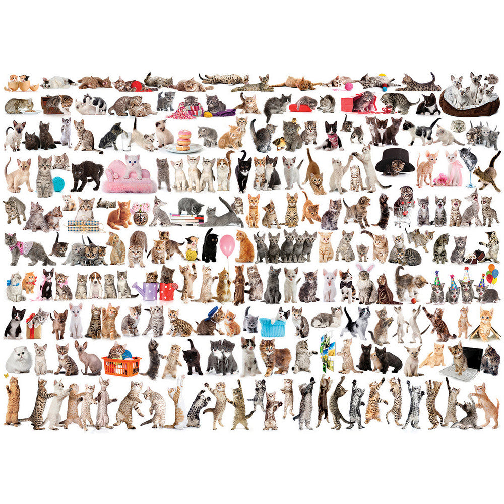 Eurographics - World Of Cats 1000 Piece - Jigsaw Puzzle