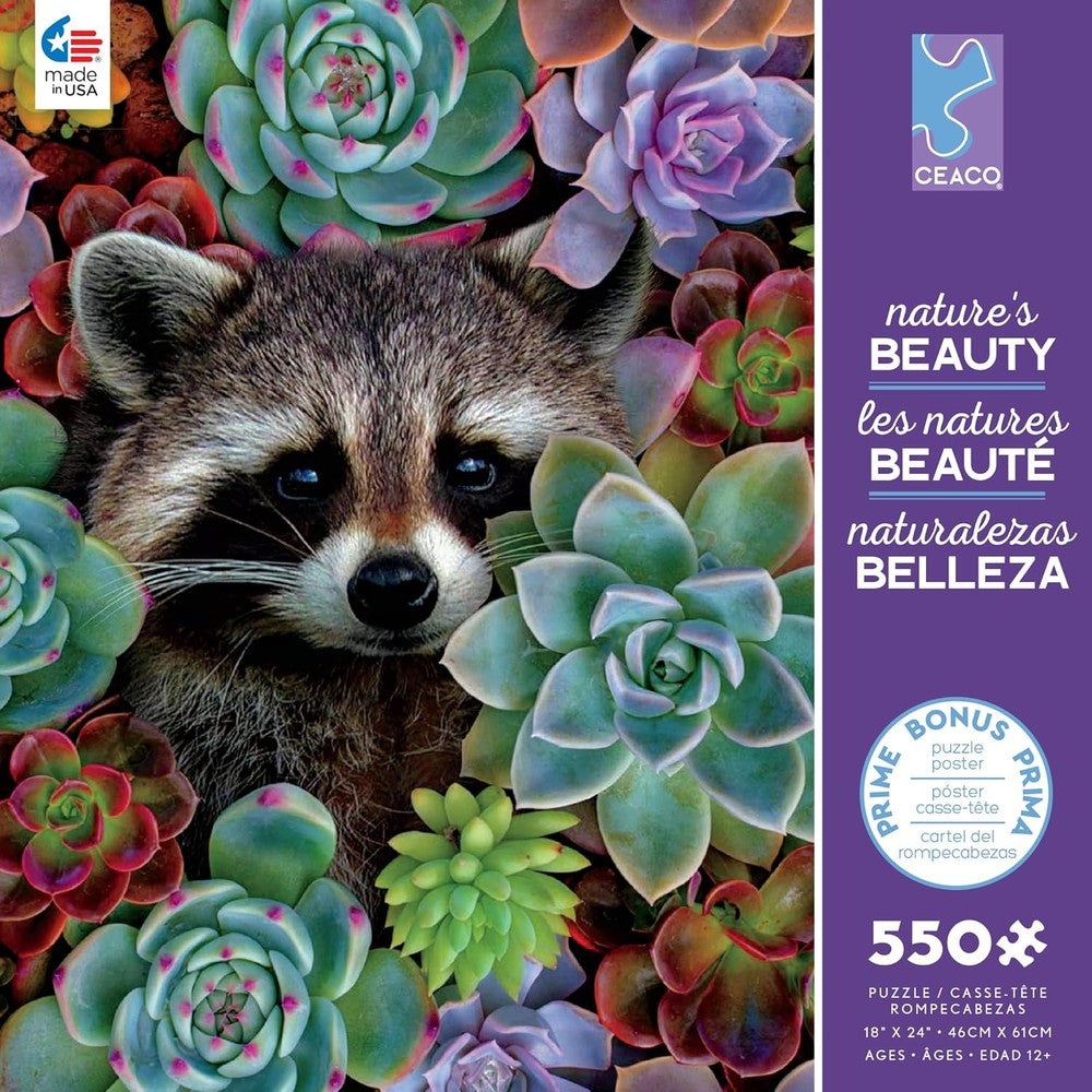 Puzzle - Ceaco - Nature's Beauty Raccoon 550Pc