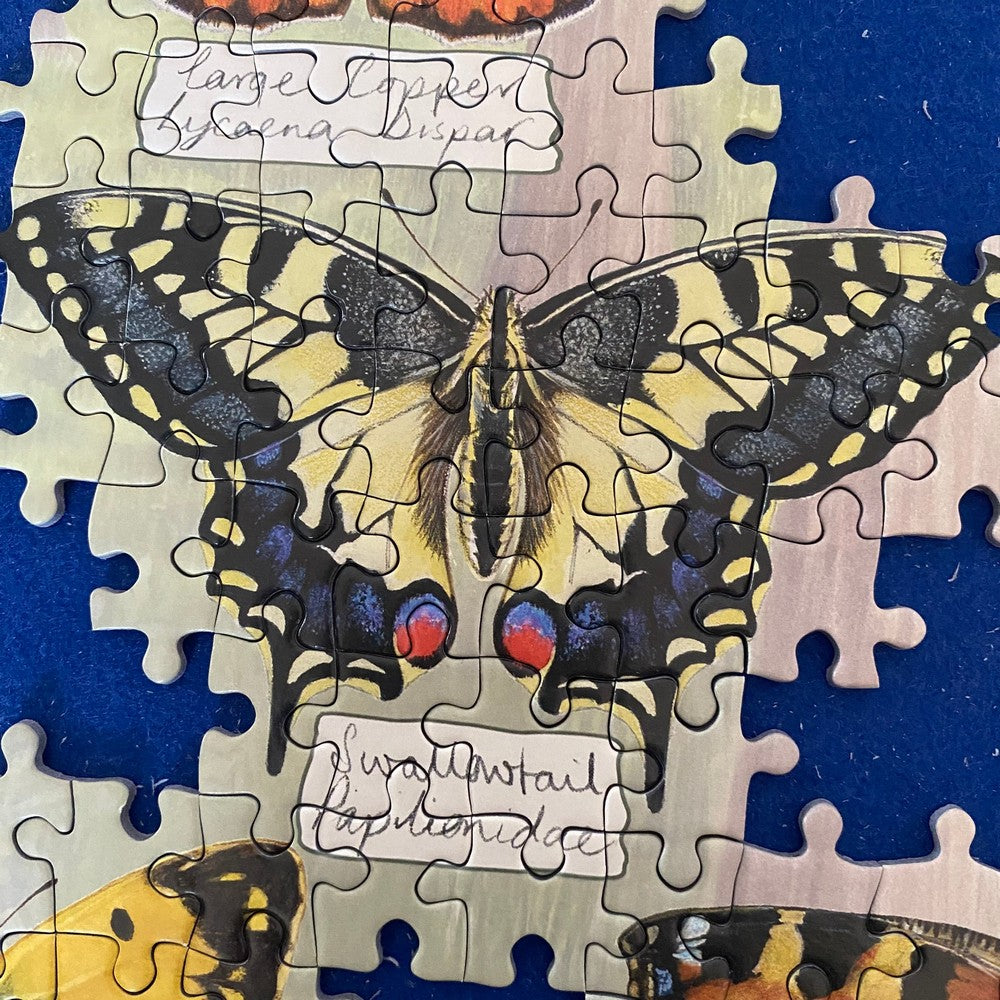 Puzzle - Gibsons - Beautiful Butterflies 1000Pc