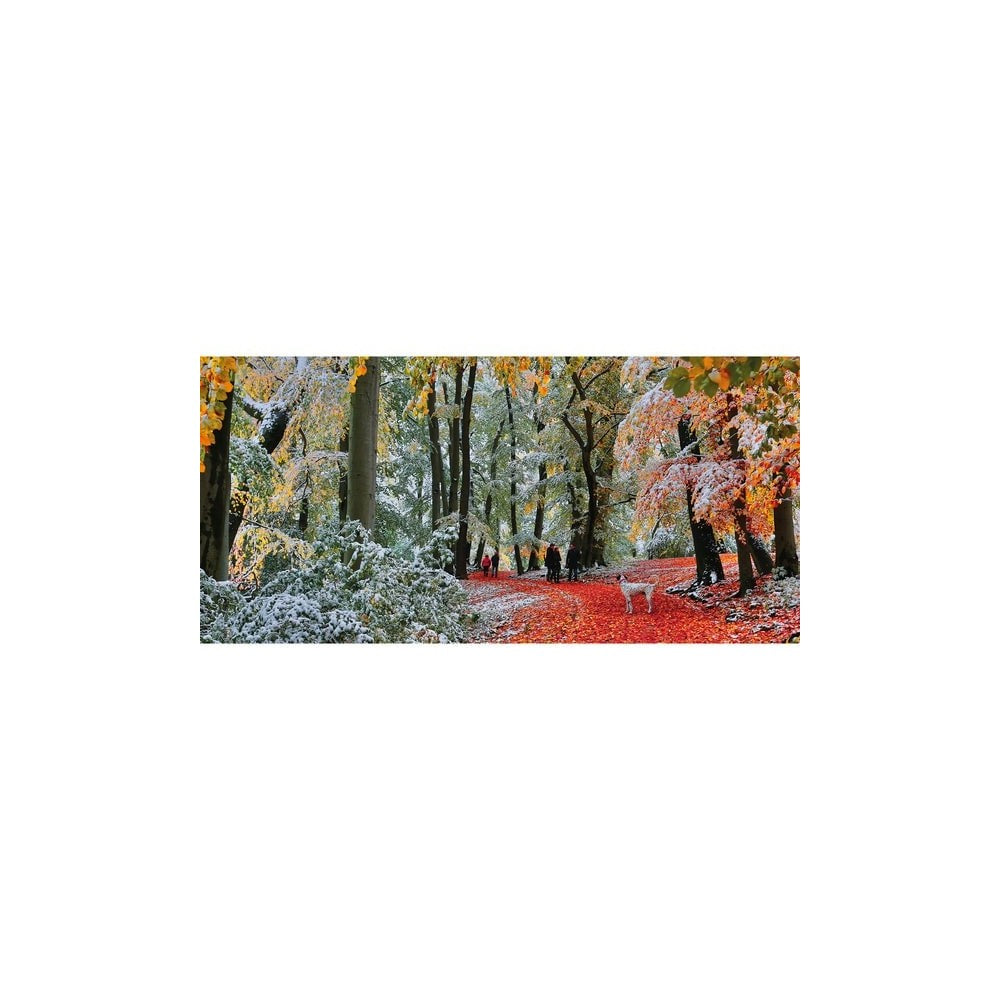 Puzzle - Gibsons - Snow In Autumn 636Pc