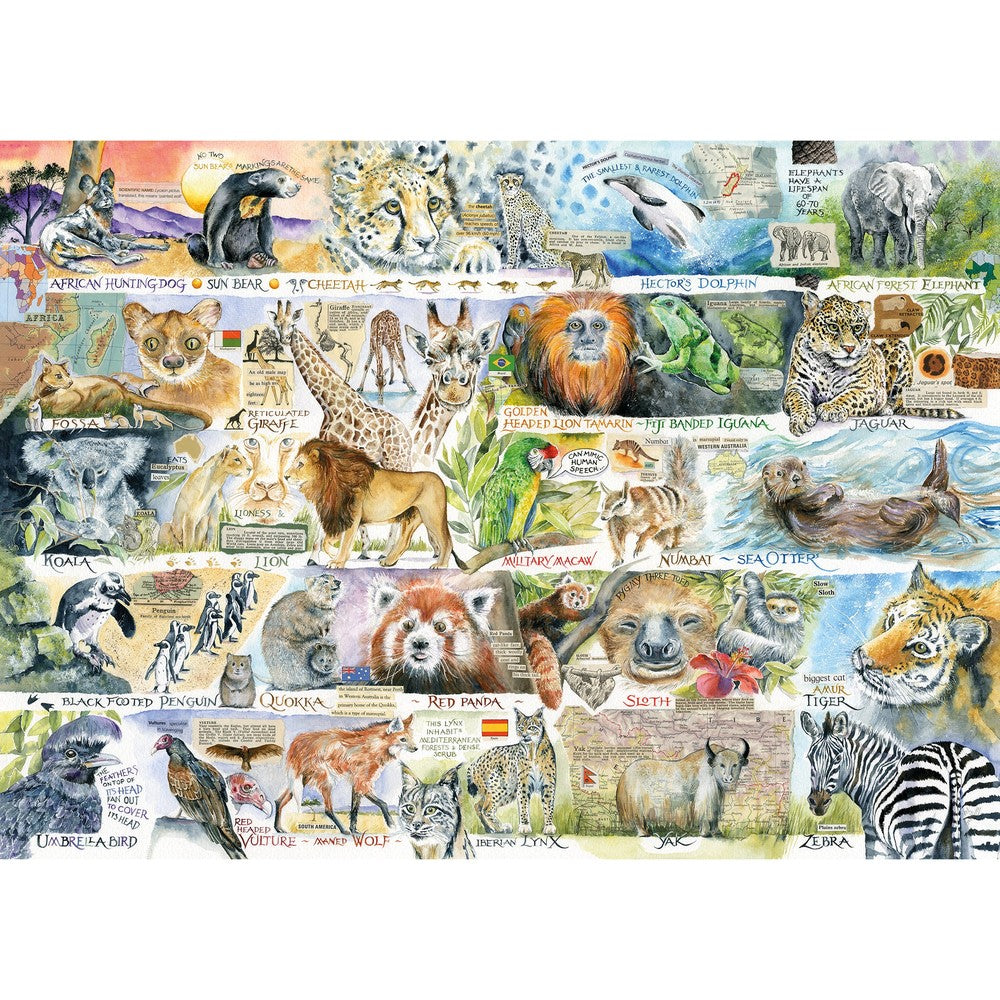 Puzzle - Gibsons - Sun Bears & Sloths 1000Pc