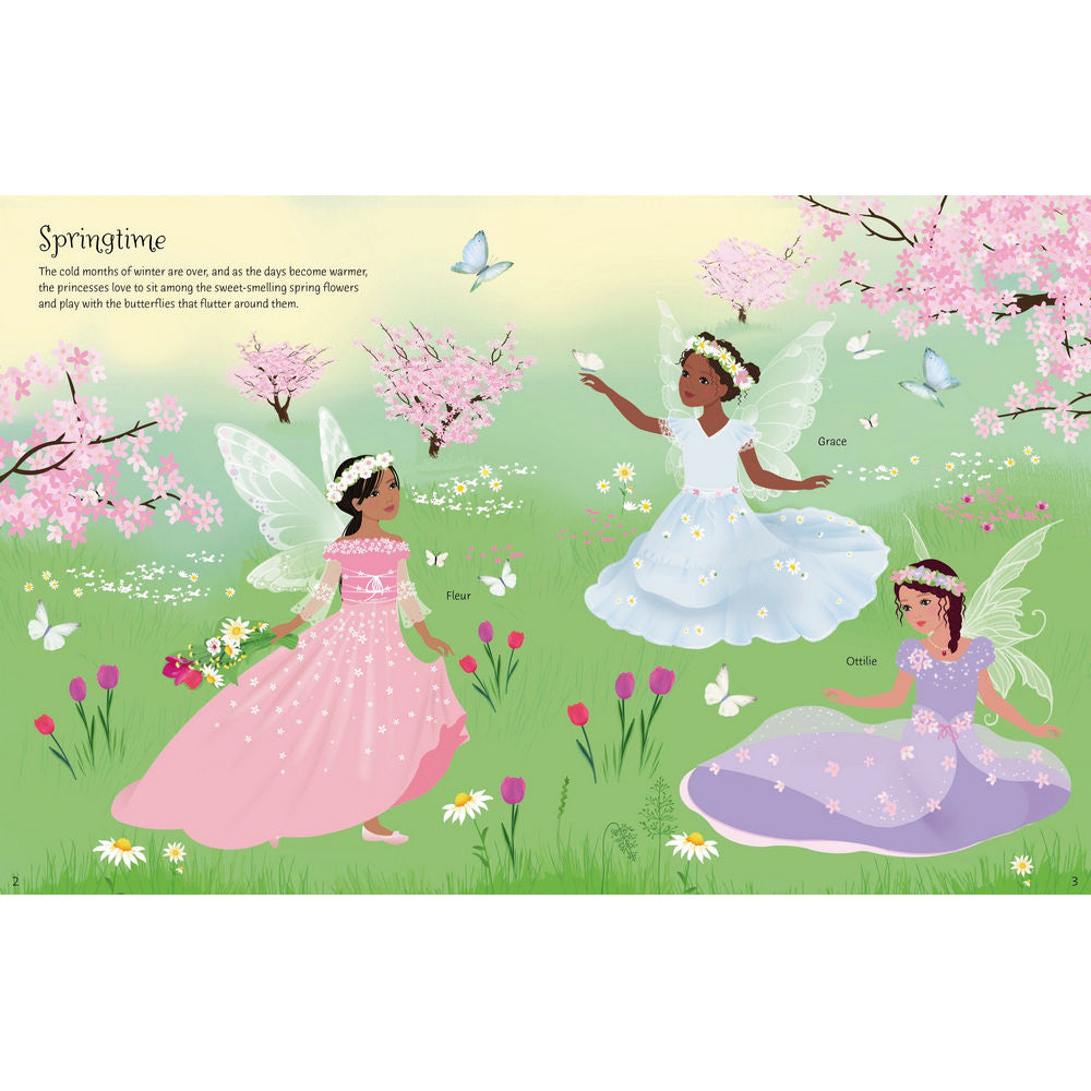 Fairy Princess Sticker Book