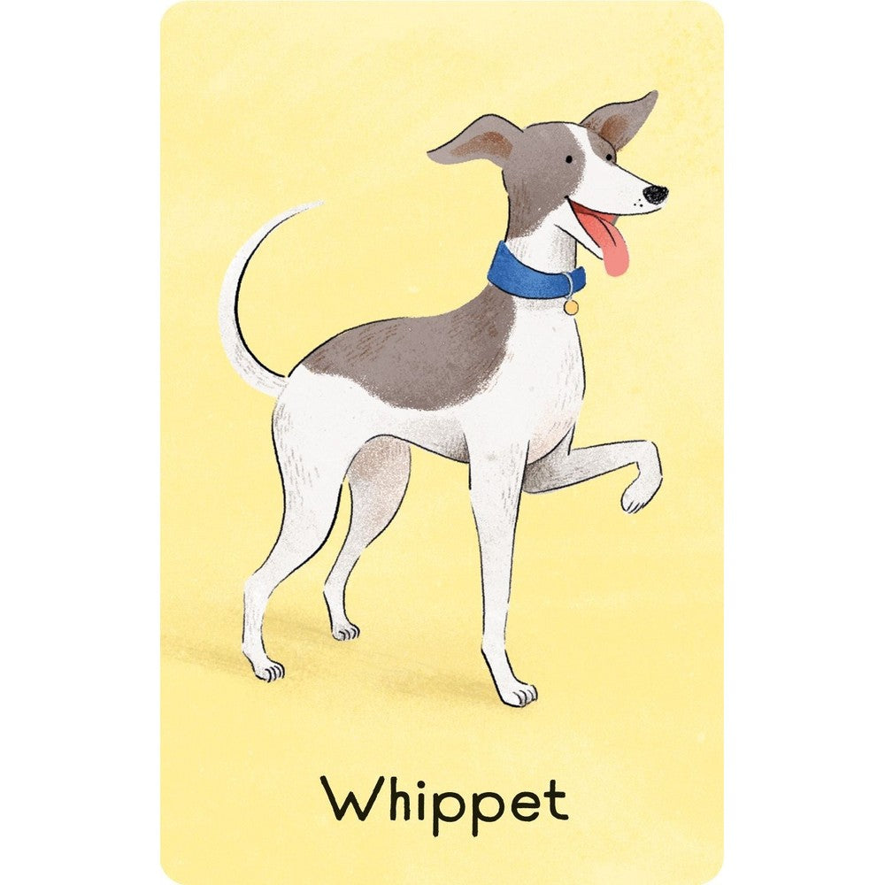 Snap; Dog
