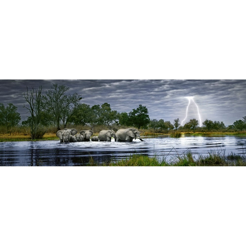 Puzzle - Heye - Panorama; Herd Elephants 2000P