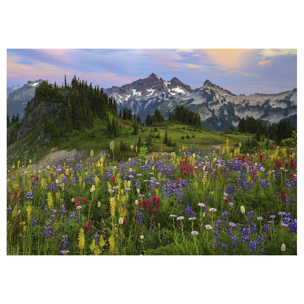 Heye - Tatoosh Mountains 2000 Piece - Jigsaw Puzzle
