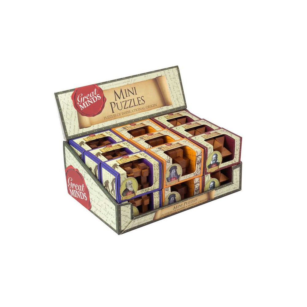 Puzzle - Professor Puzzle - Great Minds Mini Wood X 18