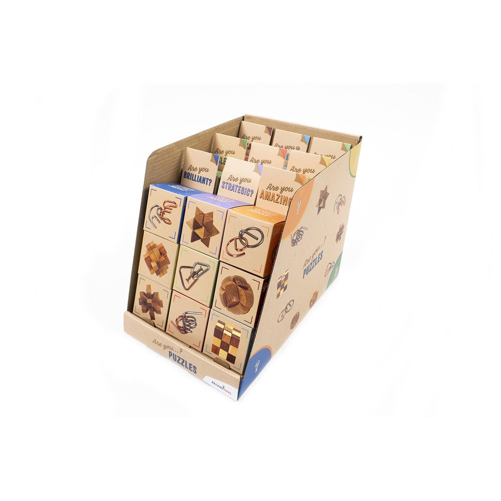 Puzzle - Are You Puzzles Disp 27Pcs