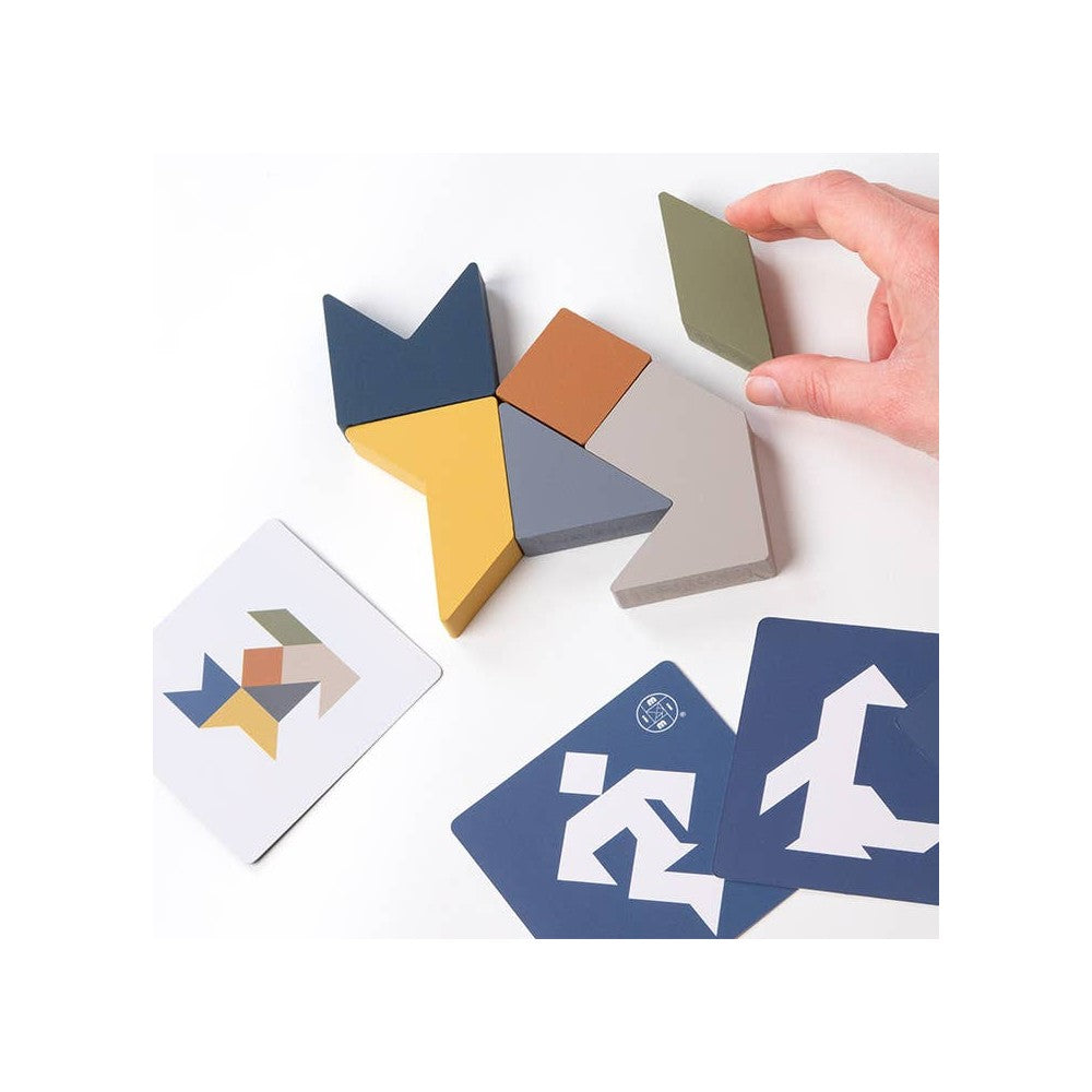 Puzzle - Tangram 4 Elements Disp 16Pc