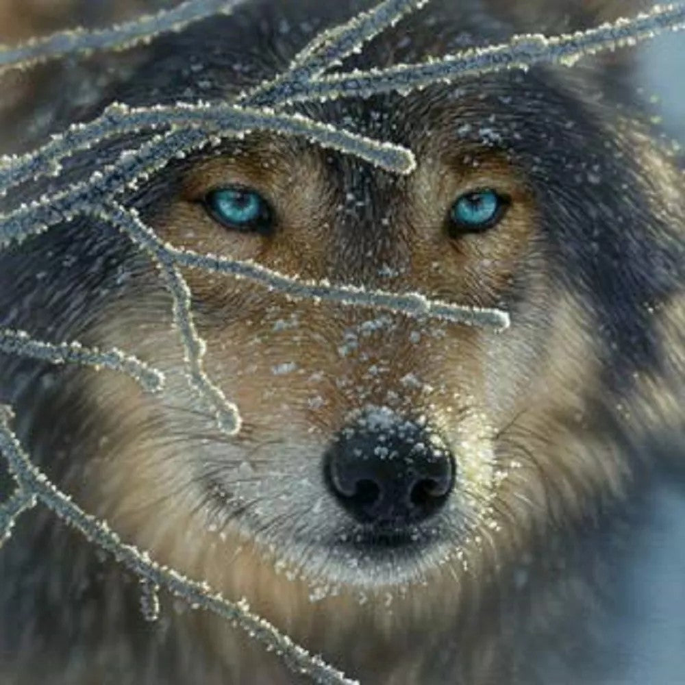 Puzzle - Sunsout - Fire Within Ice 500Pc