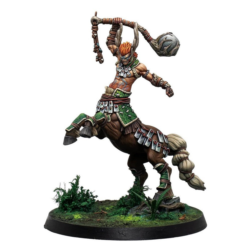 Warcrow: Sÿenann: Eachann - the Great Centaurelf
