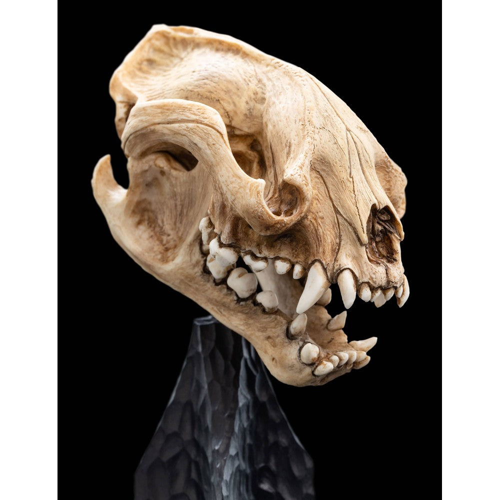 WETA - The Lord of the Rings Trilogy - Skull of a Warg