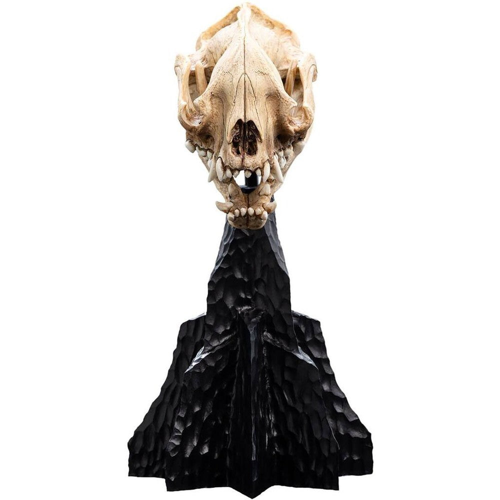 WETA - The Lord of the Rings Trilogy - Skull of a Warg