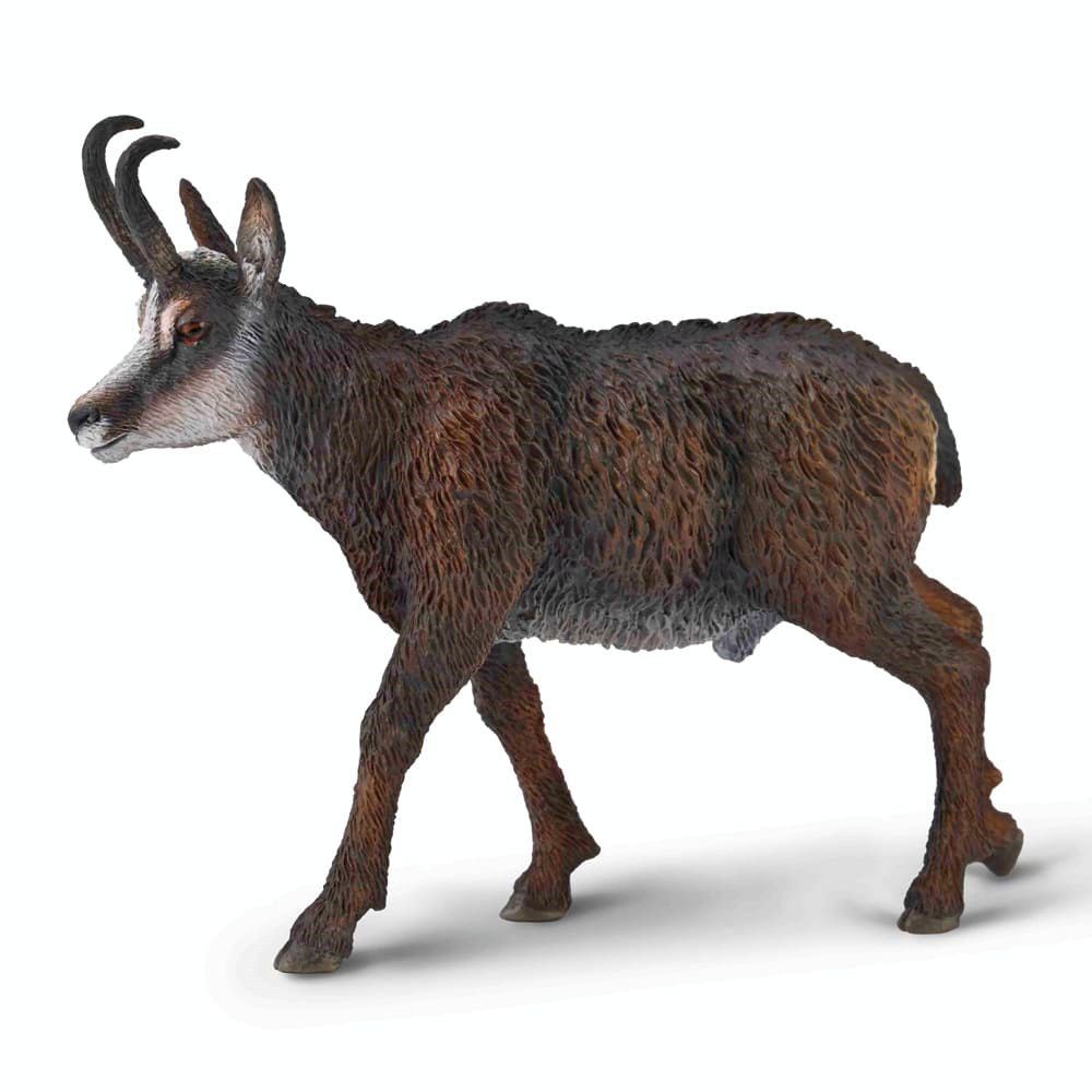 Chamois Figurine CollectA L