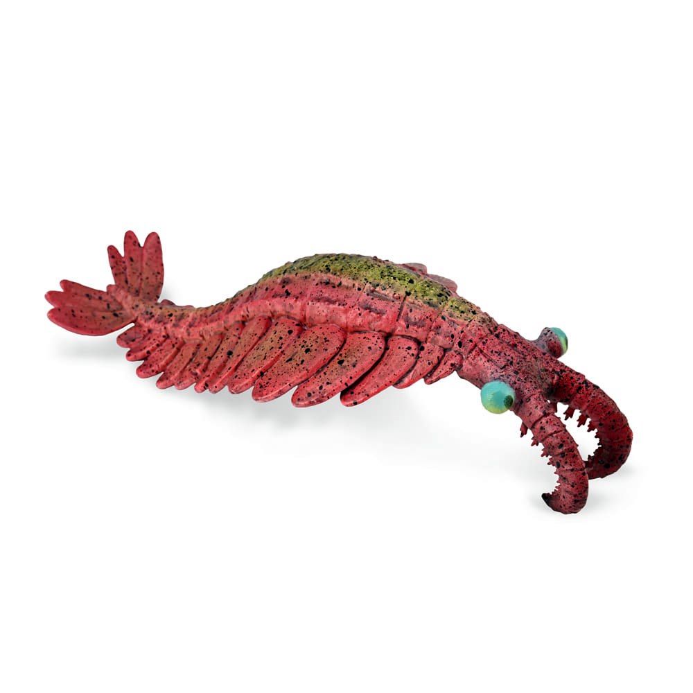 Anomalocaris Figurine CollectA L