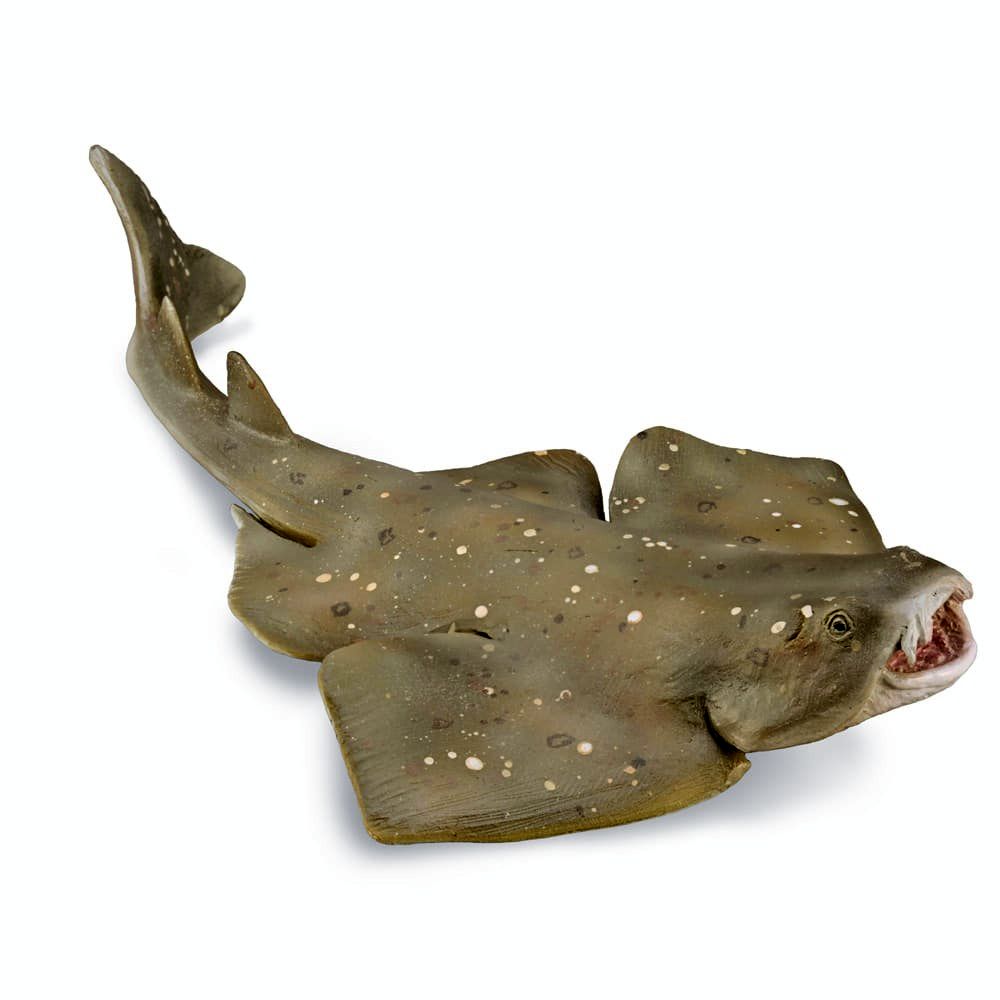 Angel Shark Figurine CollectA M