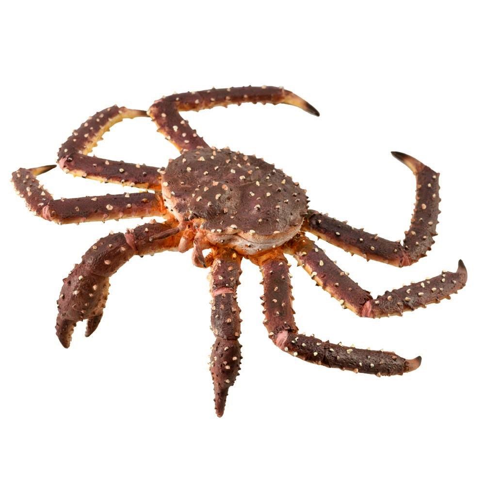 King Crab Figurine CollectA XL