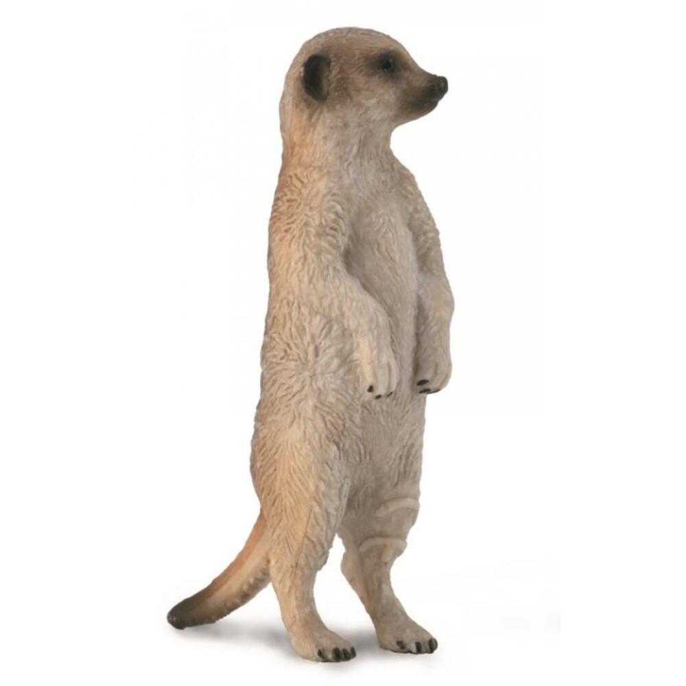 Meerkat Standing Figurine CollectA S