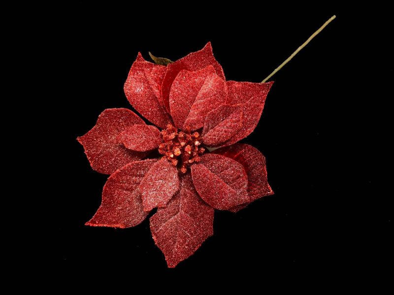 Artificial Flower Stem - Large Iced Poinsettia (Red)