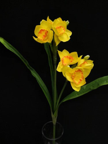Daffodil Stem (Yellow)