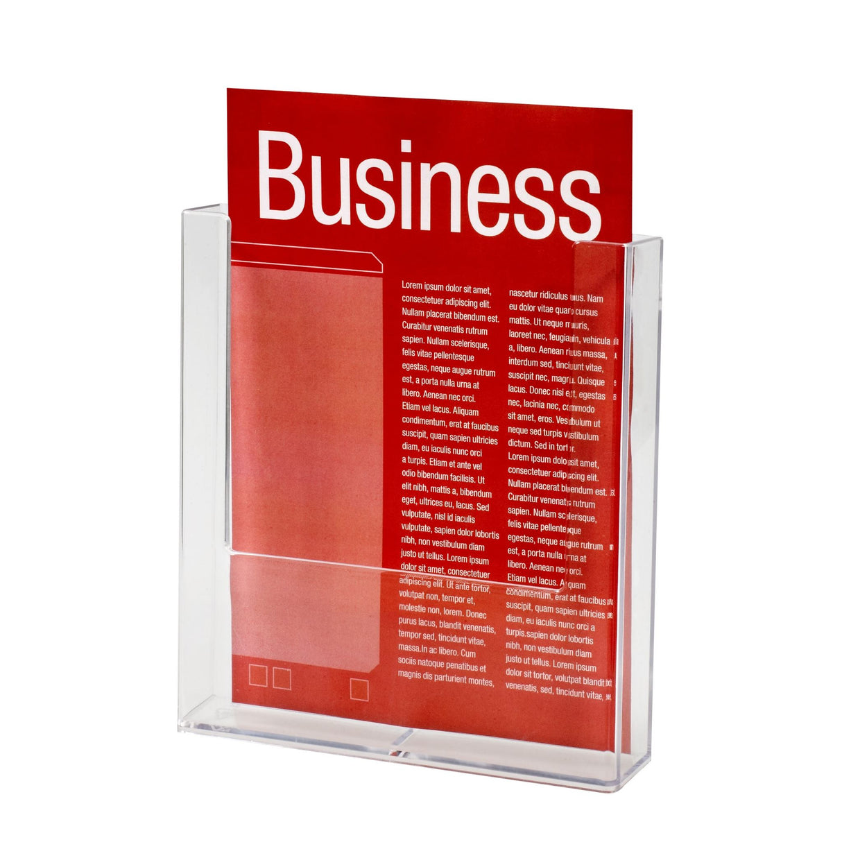 Esselte Wall-Mounted A4 Brochure Holder in portrait design, ideal for promoting materials in offices and retail spaces.