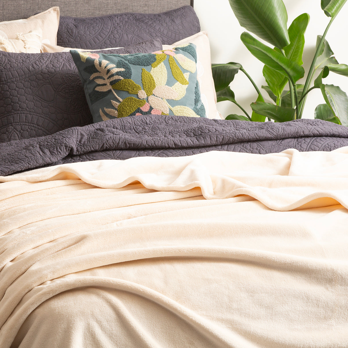 Renee Taylor Plush 380 GSM Ultra Soft Velvet Blanket Queen/King Stone