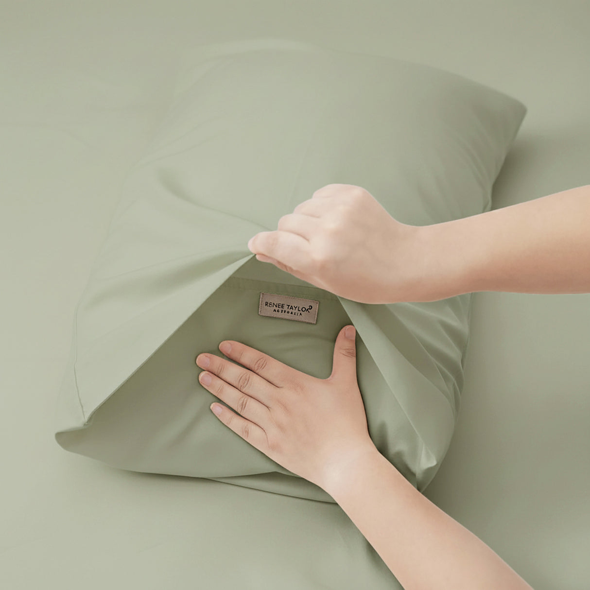 Renee Taylor 400 Thread Count Egyptian Cotton Sheet Set Super King Basil