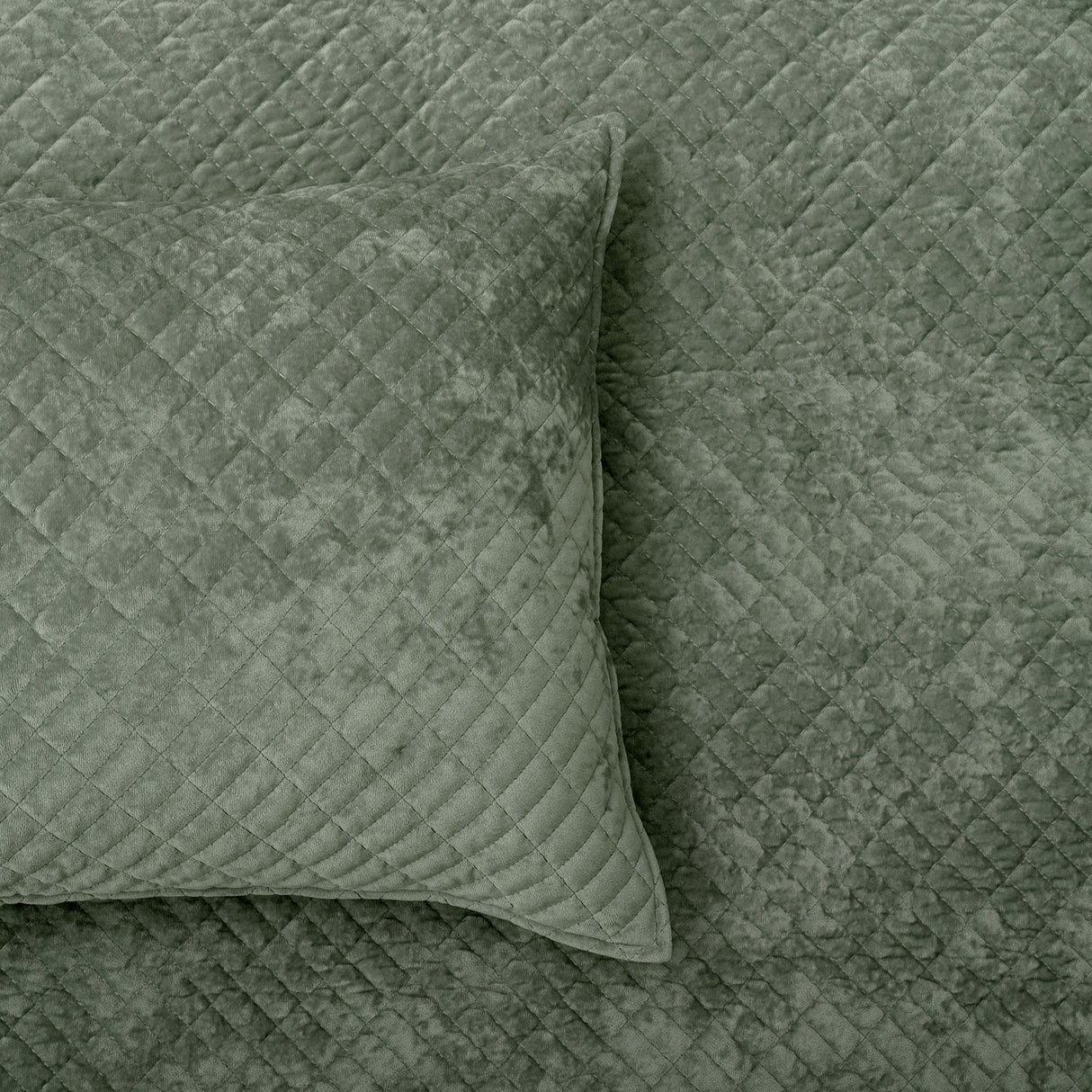 Renee Taylor Archie Cross Stitch Velvet Coverlet Set Single/Double Military